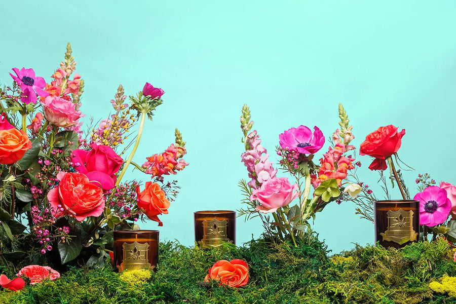 Spring DMJ Home Fragrance