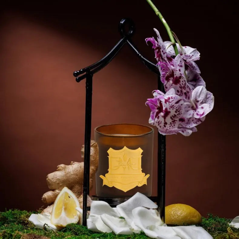 Kyoto DMJ Home Fragrance