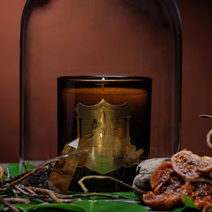 Sanctuary No. 21 DMJ Home Fragrance