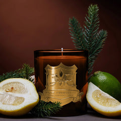 Grove candle by DMJ Home Fragrance in amber glass with gold crest, styled with pomelo, lime and fir sprigs